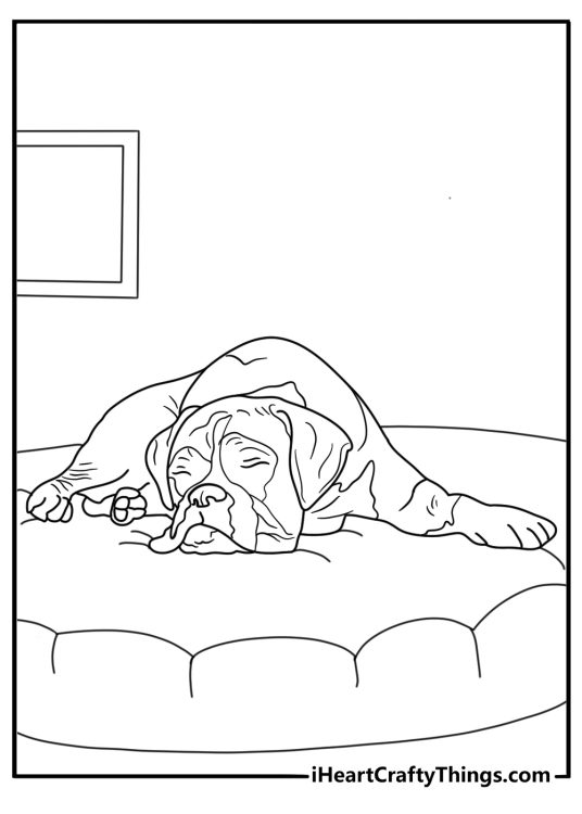 Sleeping boxer curled on dog bed calm coloring page