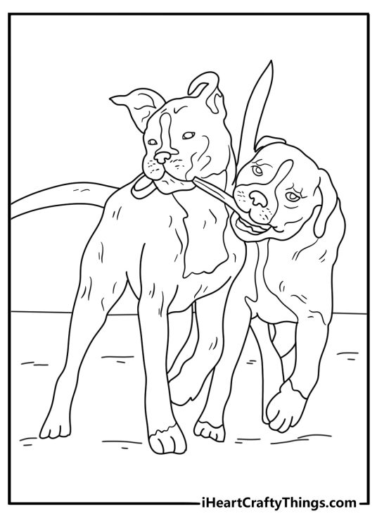Two boxers playing tug game in yard fun printable
