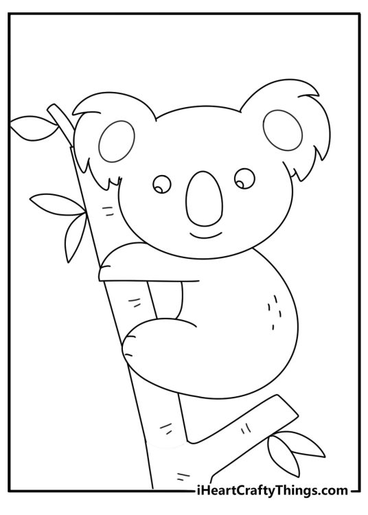 Coloring pages of kawaii animals with a koala hugging a eucalyptus branch
