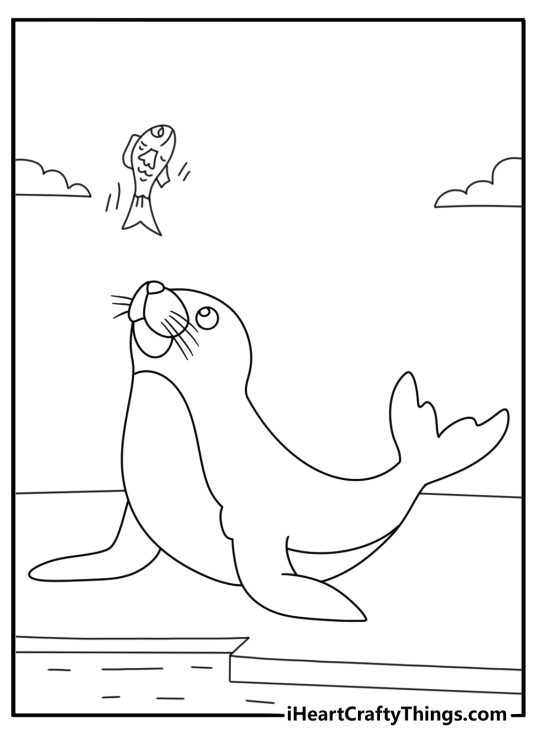 Kawaii cute animal coloring pages with a seal balancing a fish