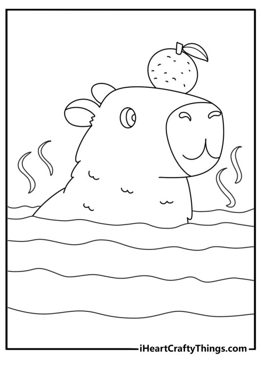 Kawall capybara coloring page with an orange on its head in hot springs
